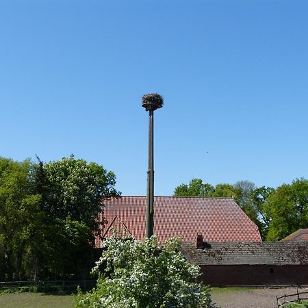 Apartmán Zur Amsel Damnatz Exteriér fotografie