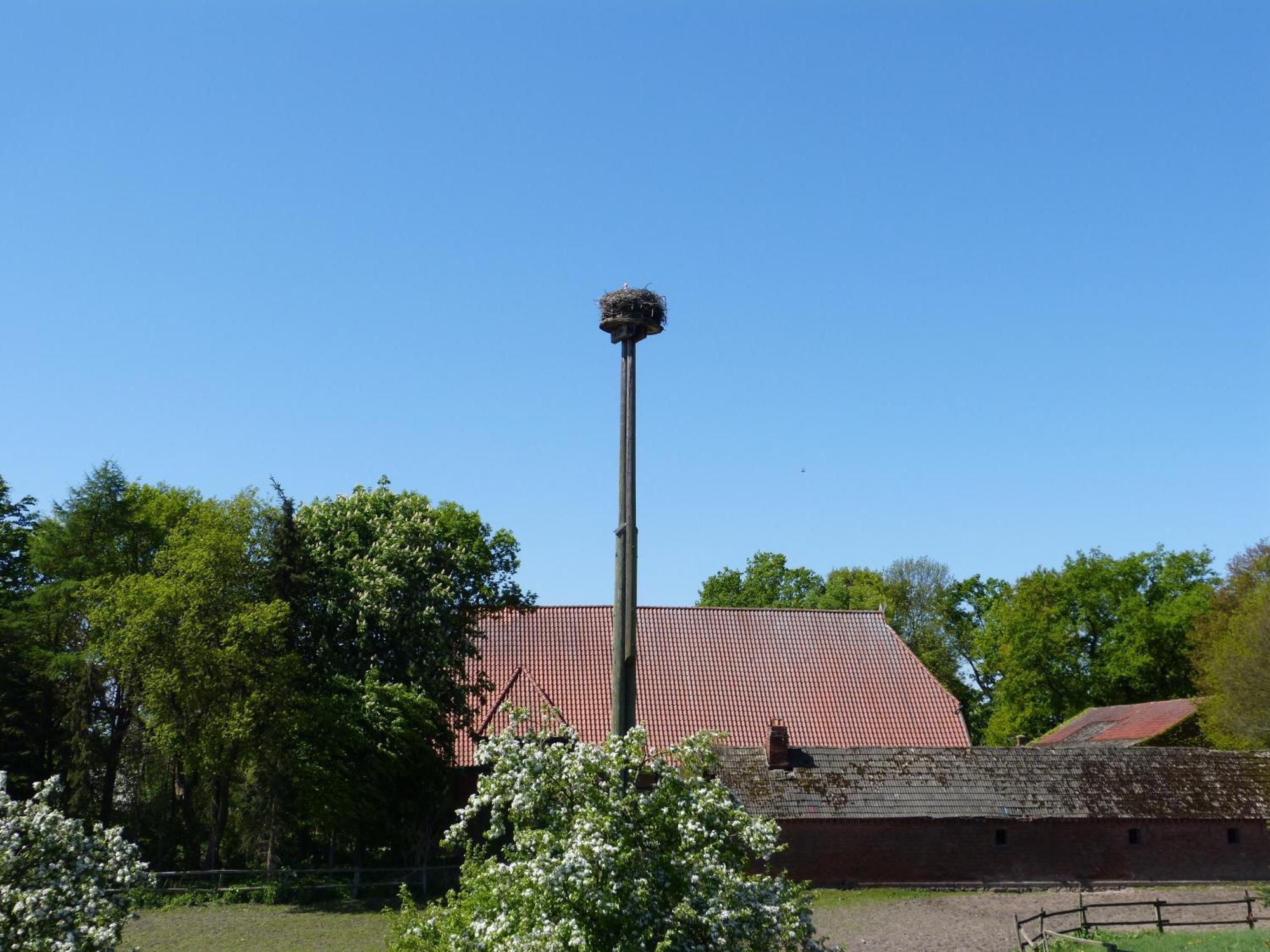 Apartmán Zur Amsel Damnatz Exteriér fotografie