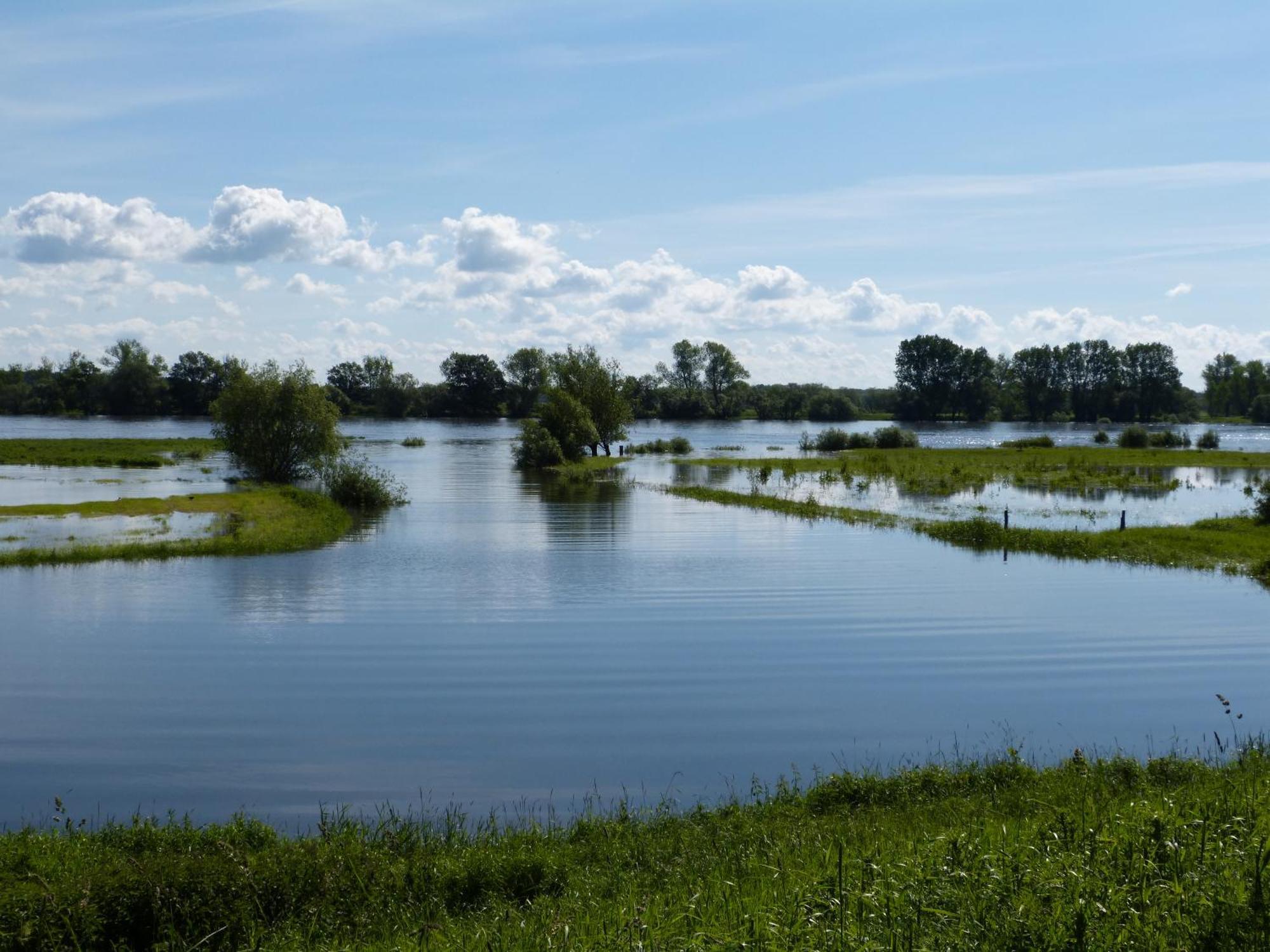 Apartmán Zur Amsel Damnatz Exteriér fotografie